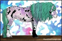 Horse Color:Watercolor Bay Onyx Appaloosa 