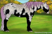 Horse Color:Watercolor White Spotted Buckskin Ice Pearl Onyx Splash