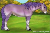 Horse Color:Watercolor Red Onyx