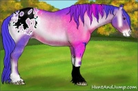 Horse Color:Watercolor Liver Red Onyx Appaloosa Rabicano 