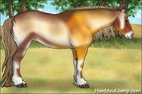 Horse Color:Red Onyx 