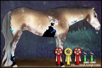 Horse Color:Bay Onyx Sabino Appaloosa Rabicano 