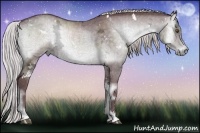 Horse Color:White Spotted Chocolate Silver Blue Onyx Chinchilla Ice Sabino Brindle 