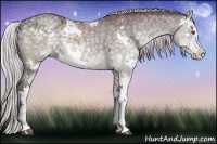 Horse Color:Chocolate Silver Grullo Chinchilla Ice Sabino Brindle