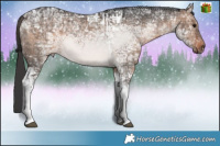 Horse Color:Brown Ice Dun Tobiano  and Brown Ice Dun Tobiano 