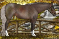 Horse Color:Silver Brown 