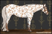 Horse Color:Chocolate Silver Bay Near Leopard 