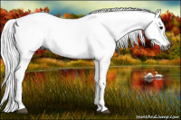 Horse Color:Gray Grullo Splash
