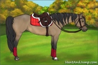 Horse Color:Buckskin Dun 