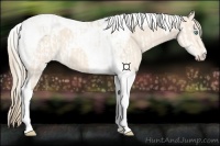 Horse Color:Perlino Sabino  and Perlino Tobiano 