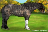 Horse Color:Brown Ice Roan Dun 