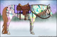 Horse Color:Buckskin Pearl Rabicano 
