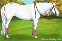 Horse Color:Silver Black Chinchilla Sabino