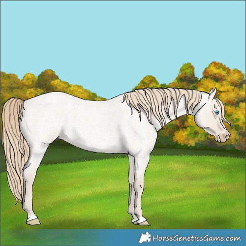 Horse Color:Smoky Creme Roan Dun 
