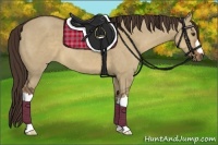Horse Color:Liver Red Dun 