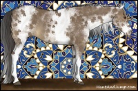 Horse Color:White Spotted Liver Red Dun 