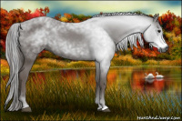 Horse Color:Gray Black 