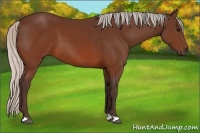 Horse Color:Silver Brown 
