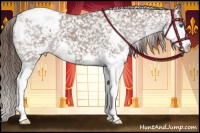 Horse Color:Liver Chestnut Splash Appaloosa 