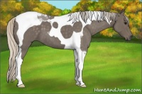 Horse Color:Silver Blue Roan Tobiano 