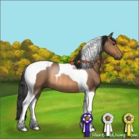 Horse Color:Buckskin Tobiano Rabicano 