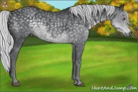 Horse Color:Silver Black Chinchilla 