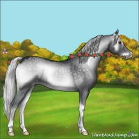 Horse Color:Silver Blue Onyx Chinchilla 