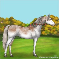 Horse Color:White Spotted Silver Brown Ice 