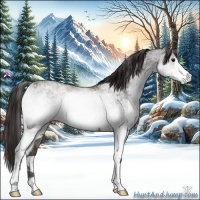 Horse Color:White Spotted Buckskin Ice 