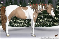 Horse Color:Liver Chestnut Pearl Sabino Tobiano