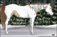 Horse Color:Liver Red Dun Pearl Splash Tobiano 