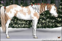 Horse Color:White Spotted Bay Pearl Splash Rabicano 