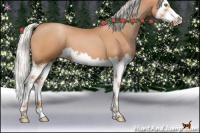 Horse Color:Silver Brown Pearl Splash