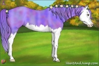 Horse Color:Nacre Watercolor Chestnut Splash 