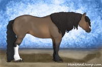 Horse Color:Brown Dun 