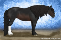 Horse Color:Gray Brown 