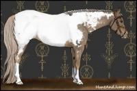 Horse Color:Chocolate Palomino Roan Near Fewspot 