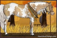 Horse Color:White Spotted Silver Classic Champagne 