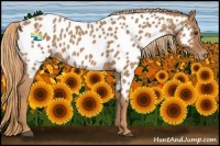 Horse Color:Chestnut Near Leopard 