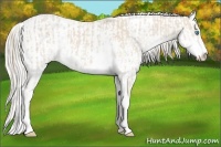 Horse Color:Smoky Creme Sabino  and Cremello Sabino 