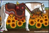 Horse Color:Bay Splash Snowcap