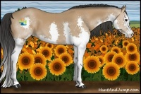 Horse Color:Bay Splash 