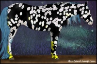 Horse Color:Watercolor Bay Onyx Appaloosa 