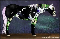 Horse Color:Watercolor Cremello Onyx Sabino Appaloosa Rabicano