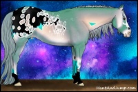 Horse Color:Watercolor Chocolate Palomino Onyx Sabino Appaloosa
