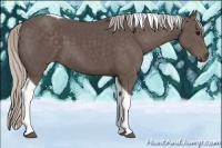 Horse Color:Silver Black Tobiano 