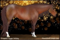 Horse Color:Chocolate Bay 