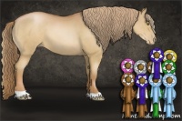 Horse Color:Chestnut Pearl