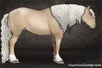 Horse Color:Liver Chestnut Pearl Rabicano 