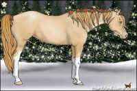 Horse Color:Chestnut Pearl
